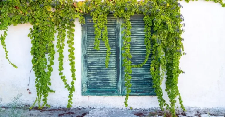 artificial hanging plants outdoor