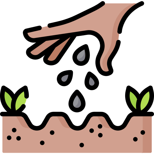 how to plant Your Garden - plantcave