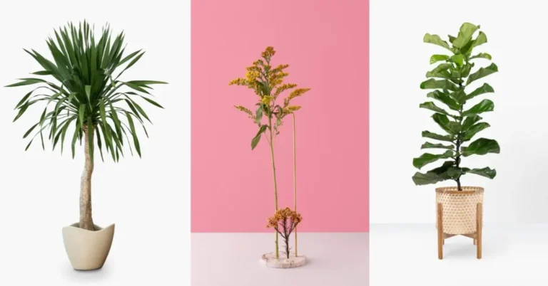 fake tall plant